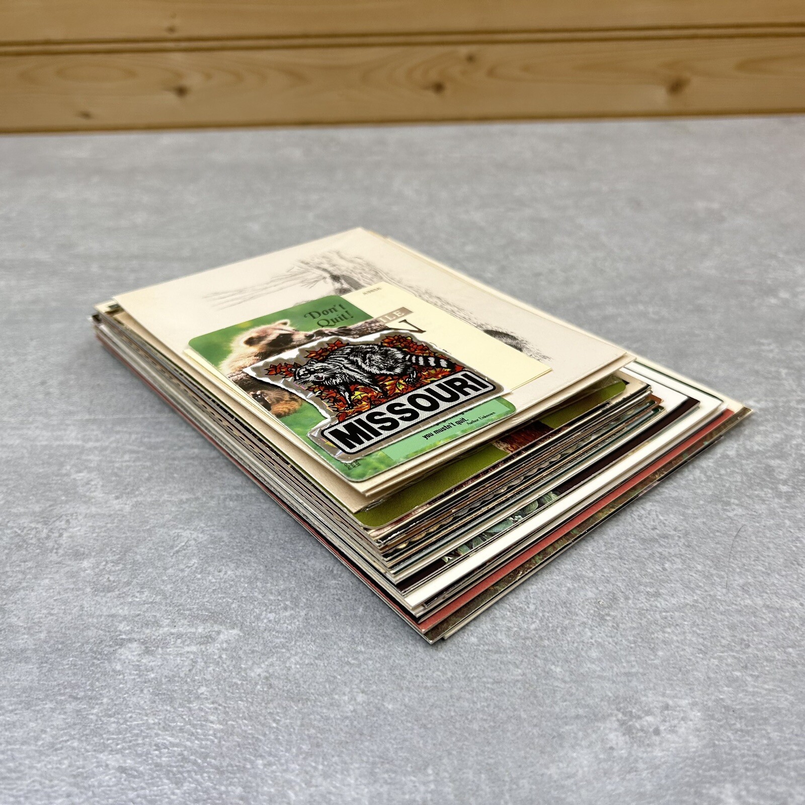 Random Lot of 50+ Vintage Raccoon Themed Greeting Cards Post Cards and Misc