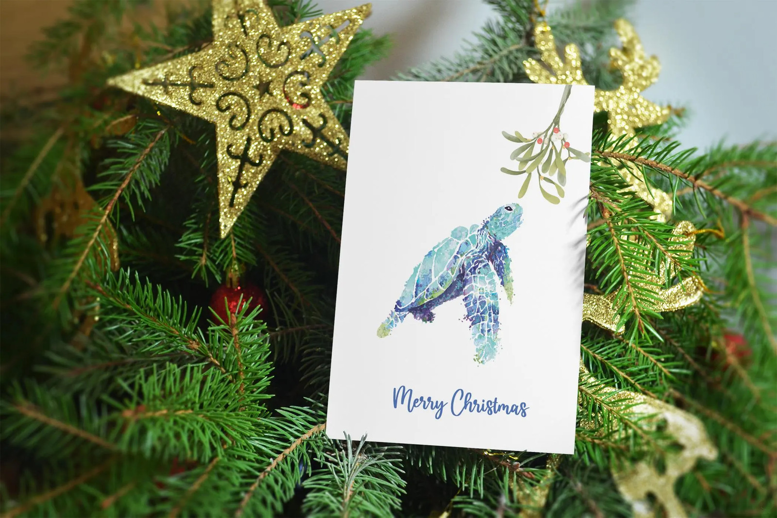 Stonehouse Collection – Sea Turtle Eating Seaweed Christmas Card – Ocean Holiday