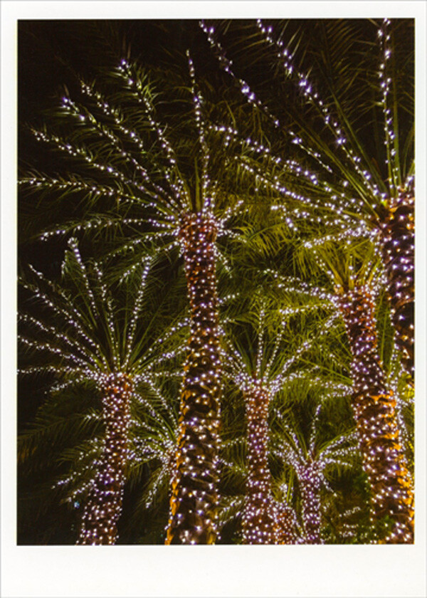 Multiple Palm Trees with Lights Tropical Box of 10 Christmas Cards