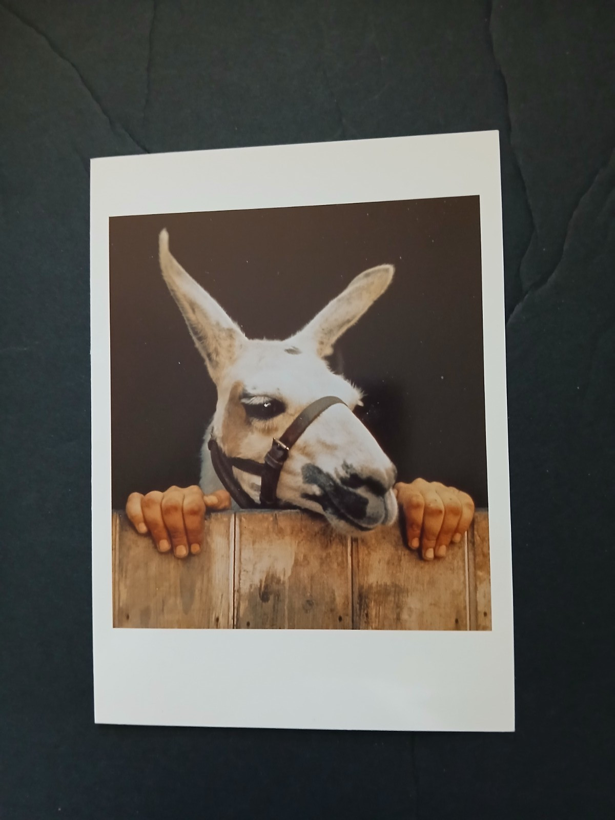 Vintage 1998 Belated Birthday Greeting Card I Haven’t Been Myself Lately