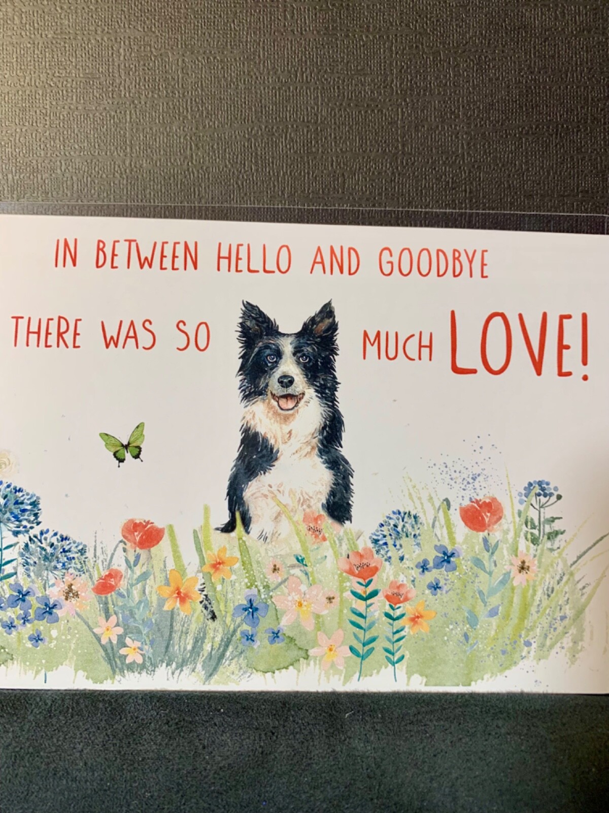 Sympathy Condolences Greeting Card Loss of Pet Dog There Was also Much Love