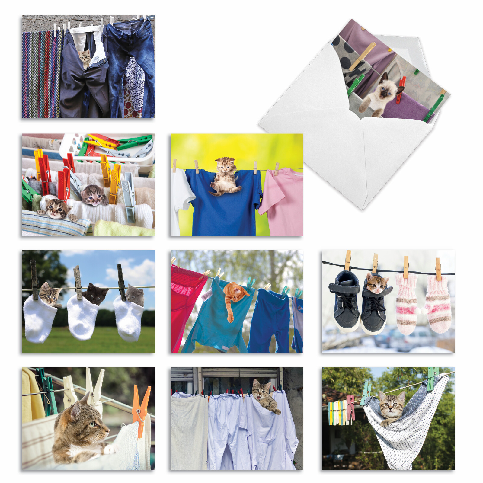 10 All Occasion Blank Cards Assortment – HANG IN THERE M6474OCB