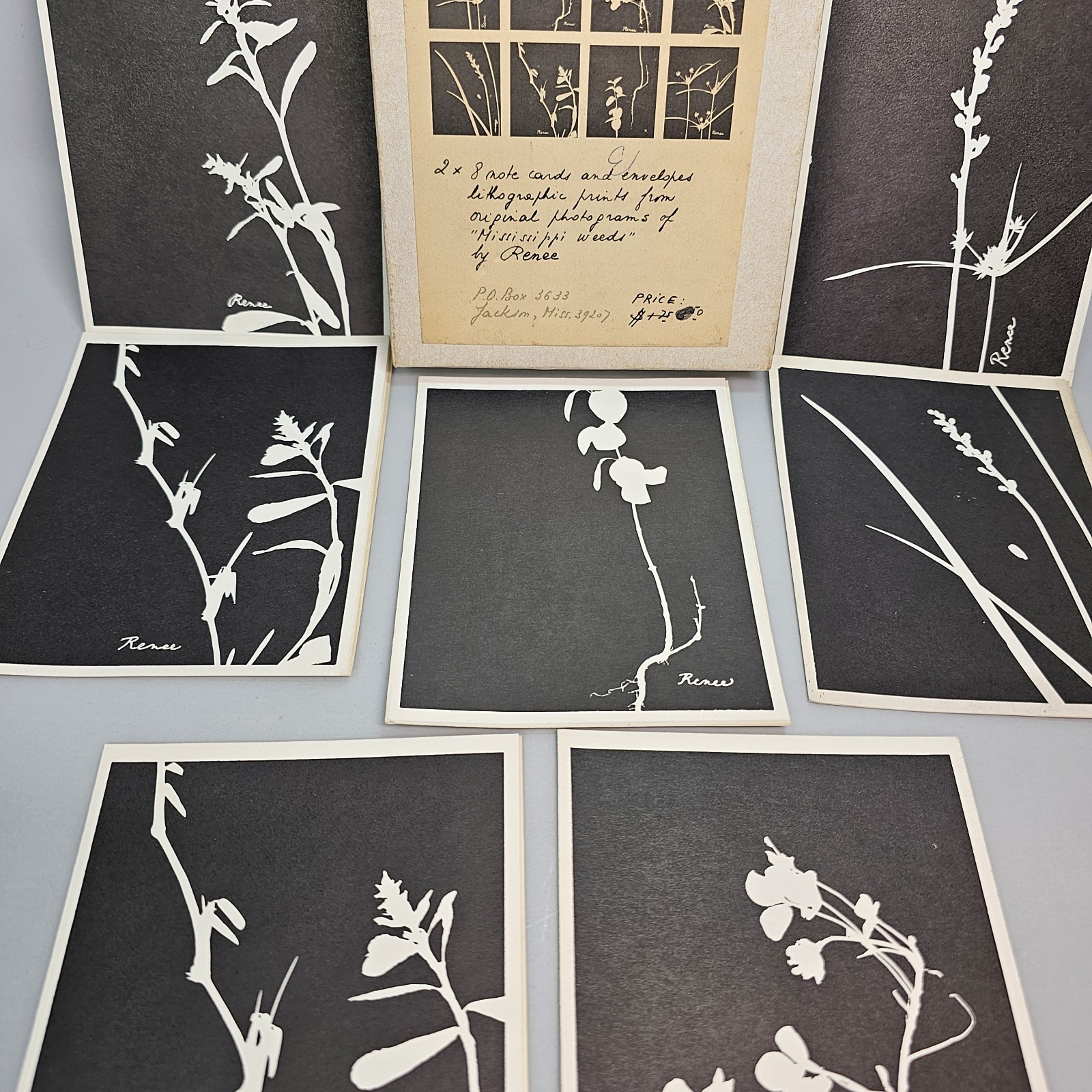 Mississippi Weeds Art Print Note Cards Renee Black And White Lithograph Vintage