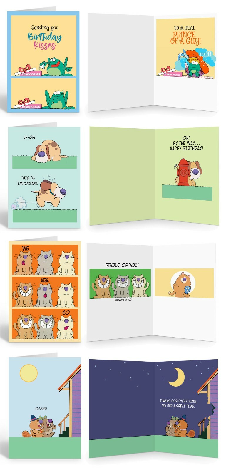 All Occasion Assorted Cards – USA Made -16 Boxed Cards and Envelopes – 738