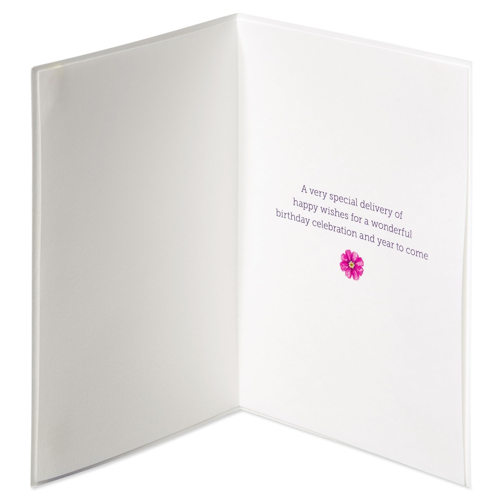 Birthday Card, Blank Inside, Floral Design, Multicolor