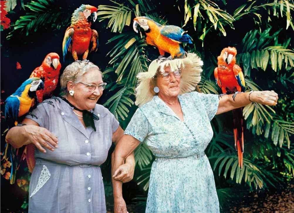 “Never a dull moment w/ you!” BIRTHDAY SOUND CARD Avanti PARROT JUNGLE FLORIDA