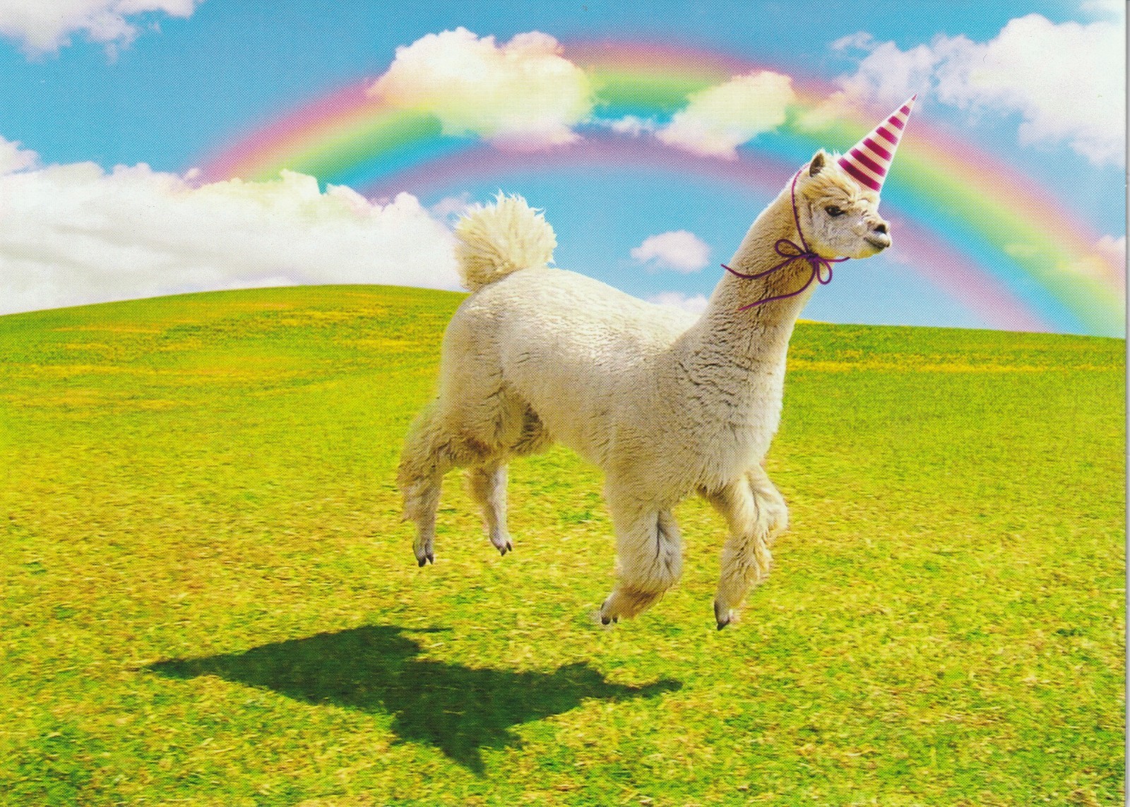 Happy Birthday Card – Llama – Rainbows & Sunshine & Glitter & Magic