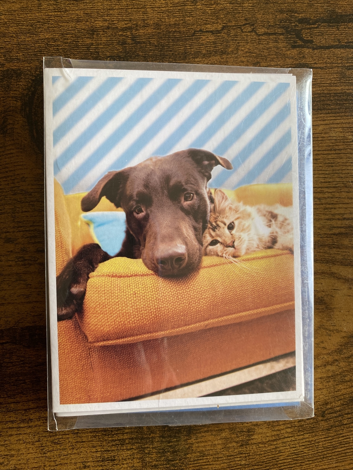 8 Cards And Envelopes With Cute Dog and Cat On Yellow Couch All Occasion New
