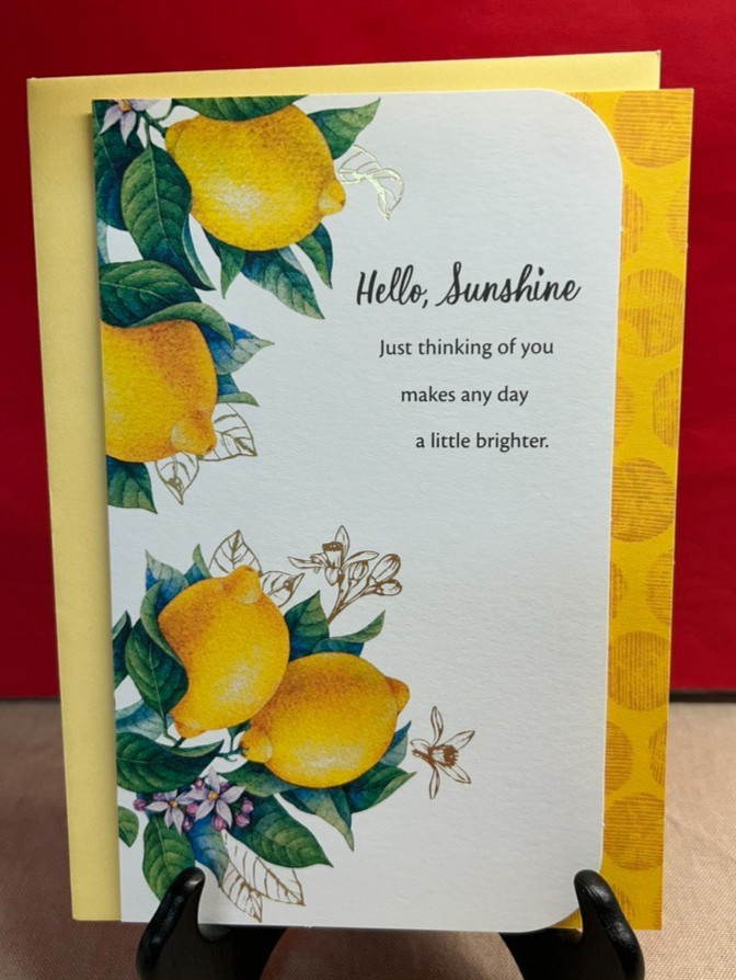 Thinking of You Greeting Card w/ Envelope ~ Hello Sunshine ~ Hallmark