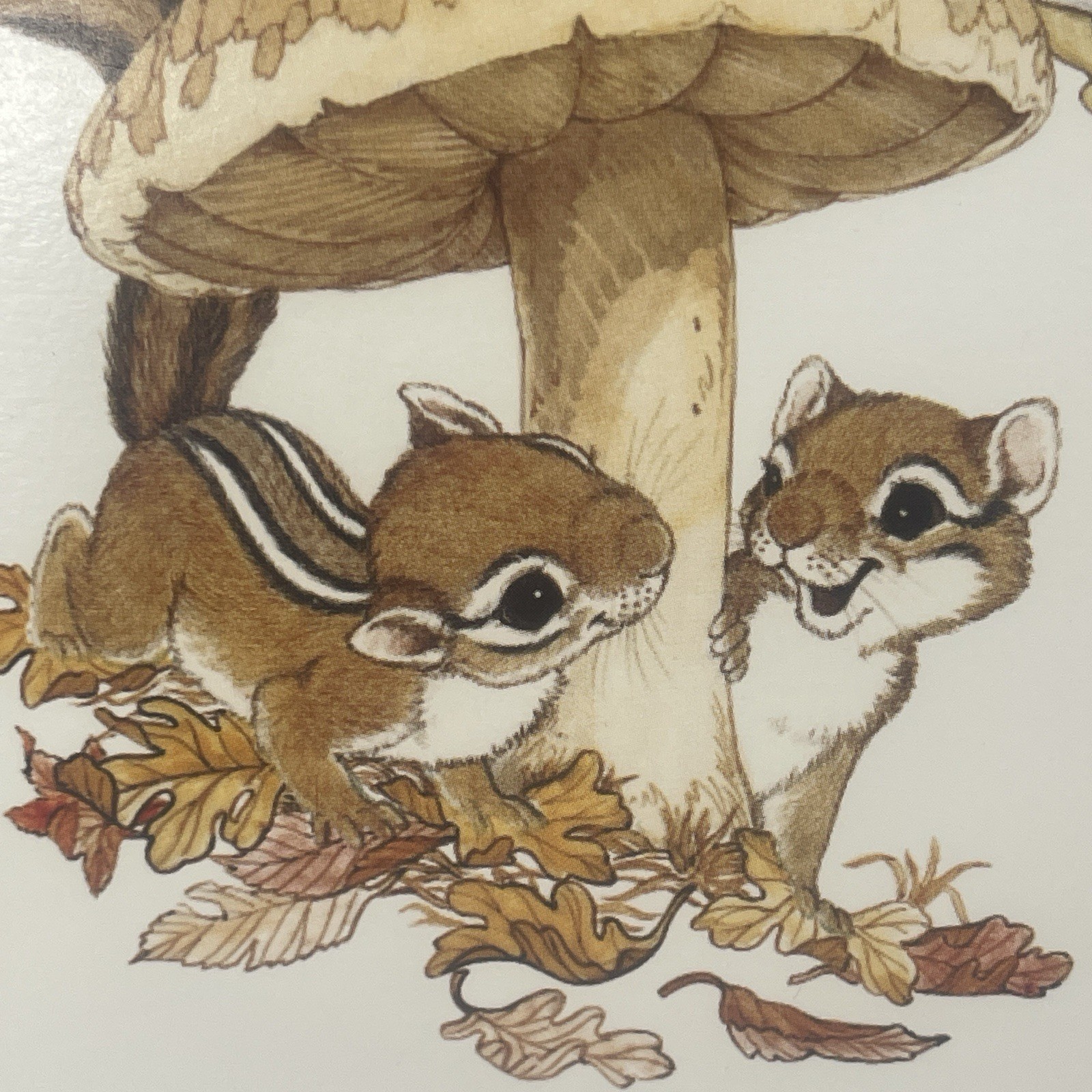 7 VTG Thanksgiving Cards Snail & Squirrels Playing Hide & Seek By Mushroom 4×5
