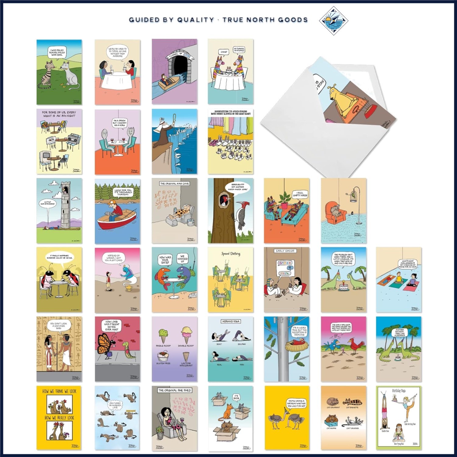 Bulk Box of 36 Birthday Greeting Cards, Cartoon Designs with Envelopes Included