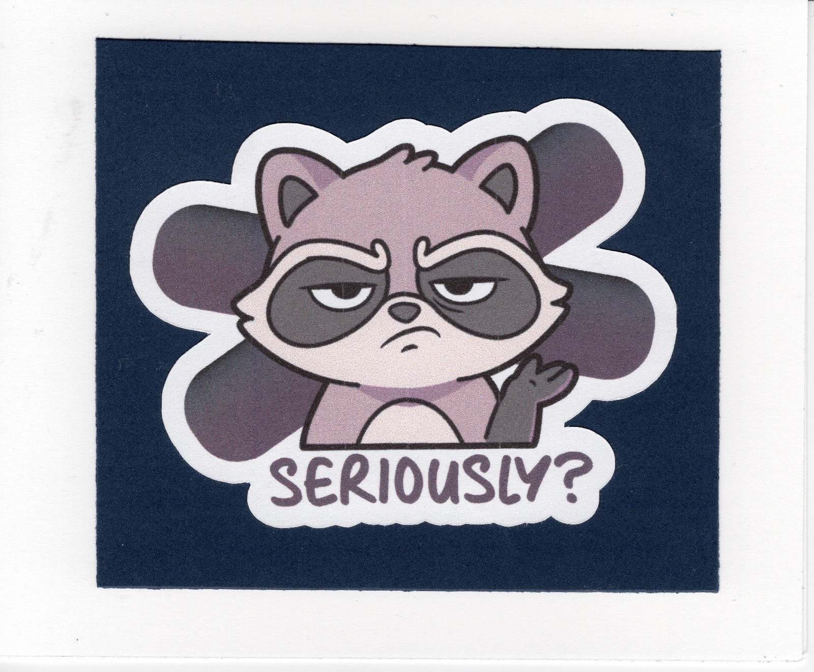 6 x 4.5 Greeting Card/ Funny Humor Raccoon | Belated Birthday Card TFC