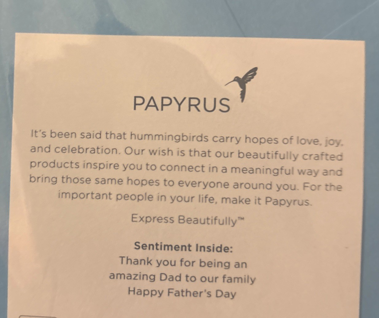 Papyrus~Husband You Are Our World~Happy Fathers Day! 3D Card