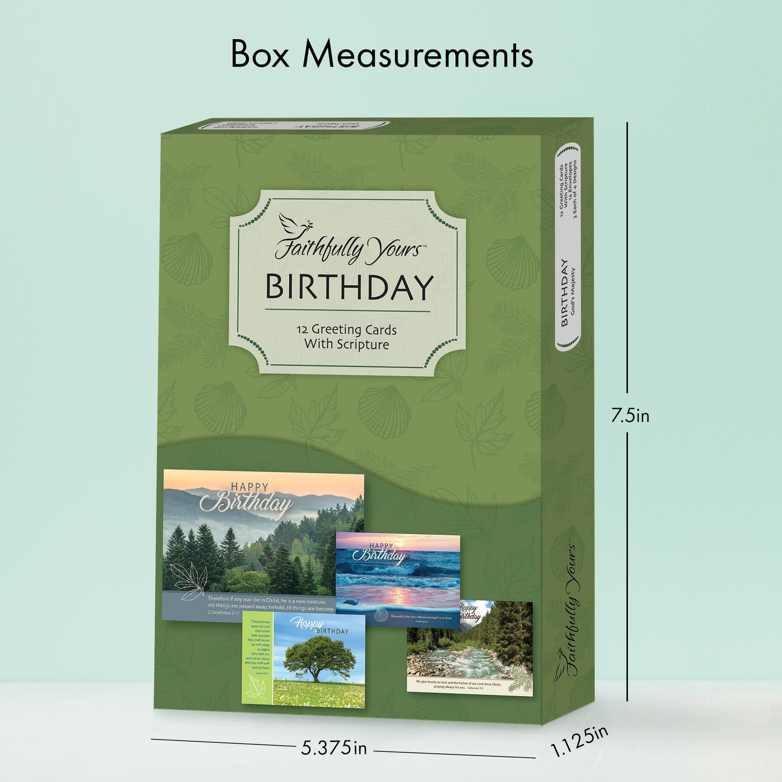Designer Greetings Landscape Birthday Boxed Card Assortment, God’s Majesty wi…