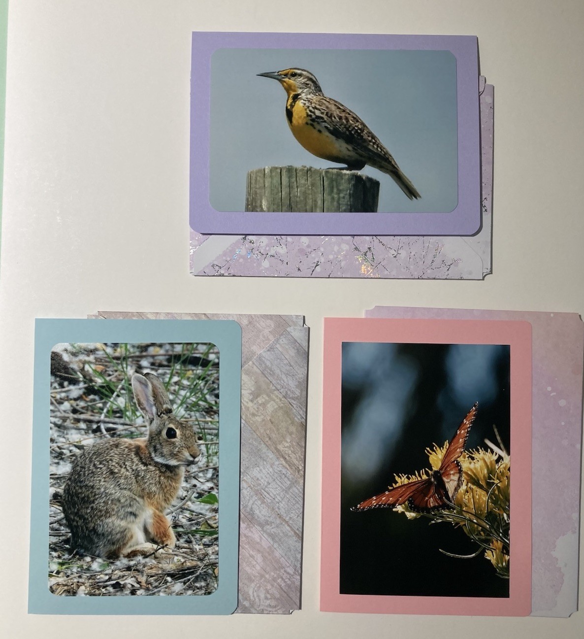 Set Of Three Handmade Custom Photo Greeting Cards Wildlife Images USA 5×7 Size