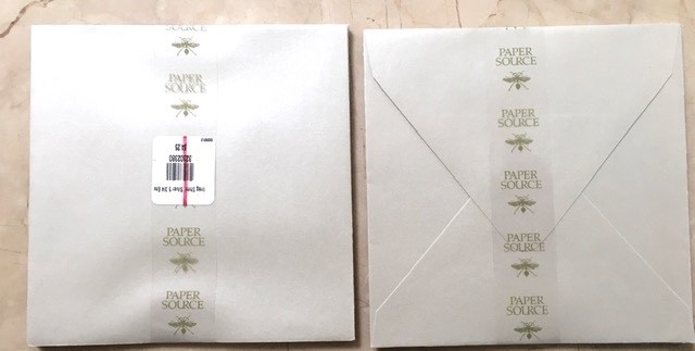 BRAND NEW SET 10 Paper Source Envelopes SHIMMER SILVER Stationery 5.75″ Square