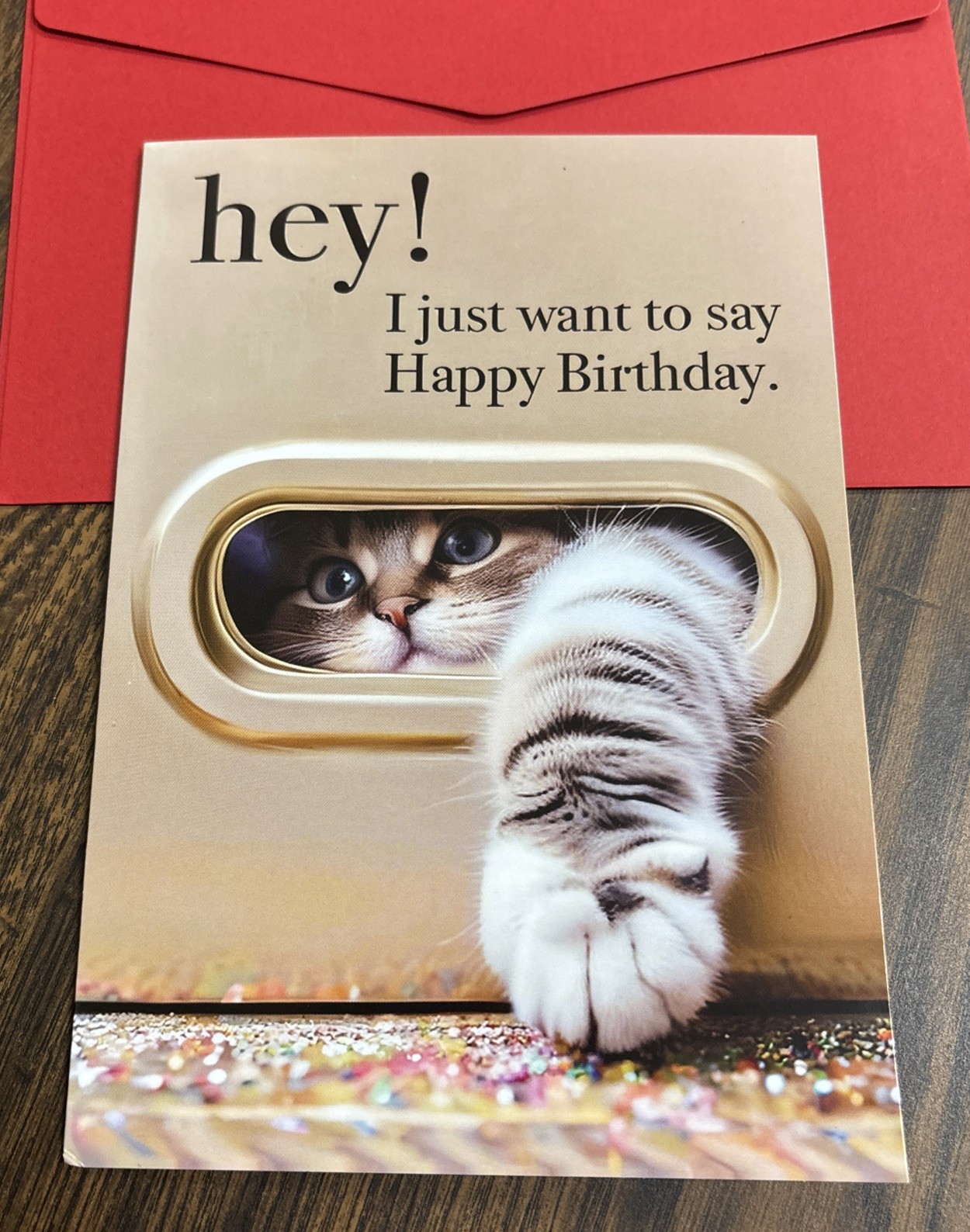 Happy Birthday Funny & Cute Cat Hey! 4.25”x6.25” Blank Inside Greeting Card