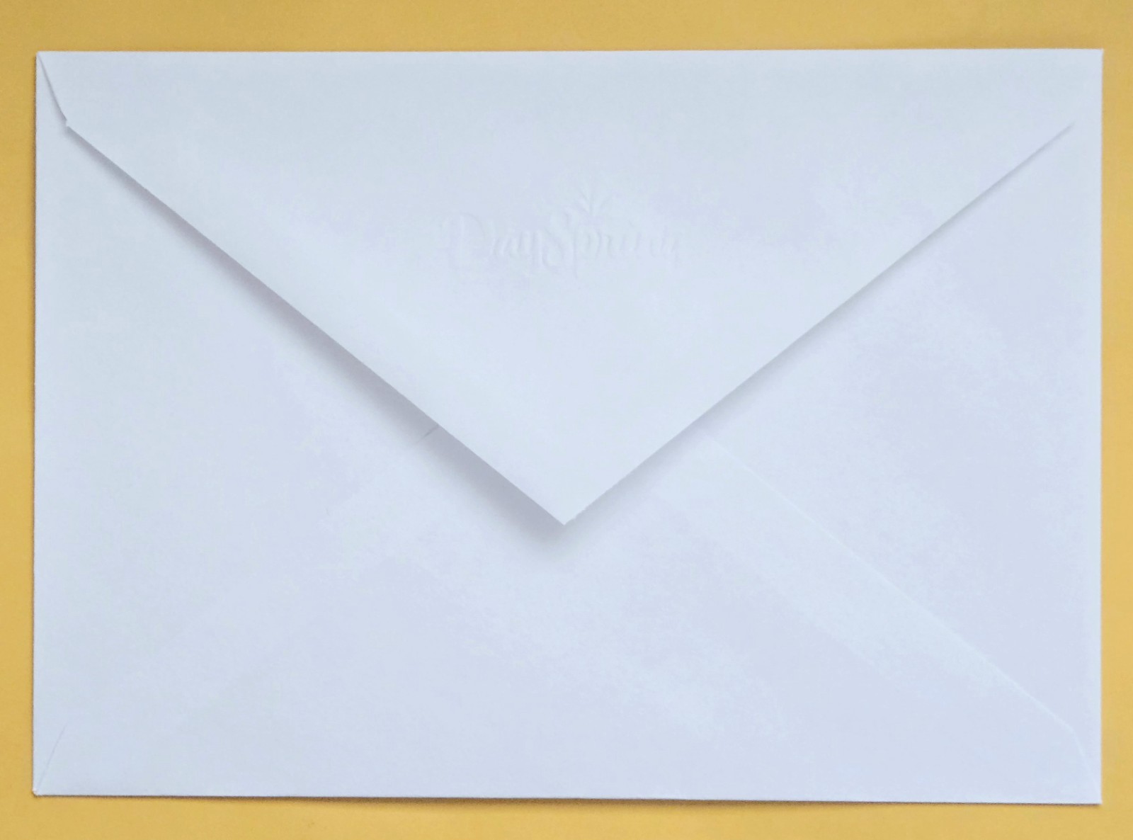 Looney Tunes Happy Birthday Greeting Card (+Envelope 5×7″)