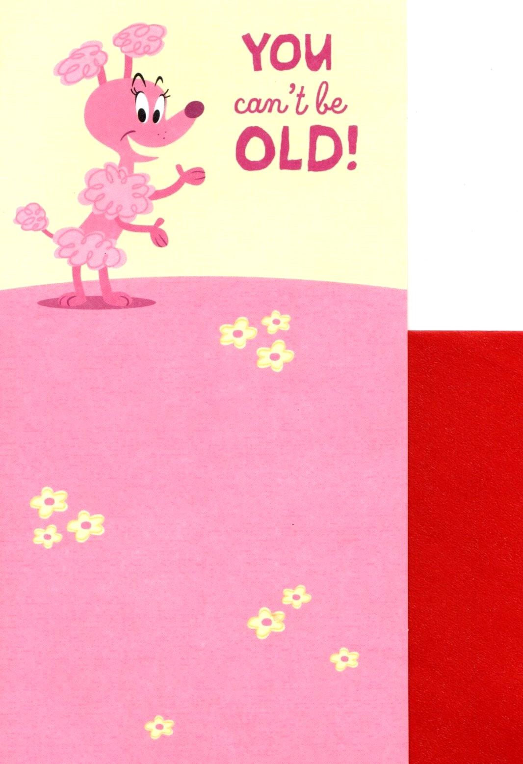 Funny Happy Birthday Pink Poodle Puppy Dog Getting Old Hallmark Greeting Card