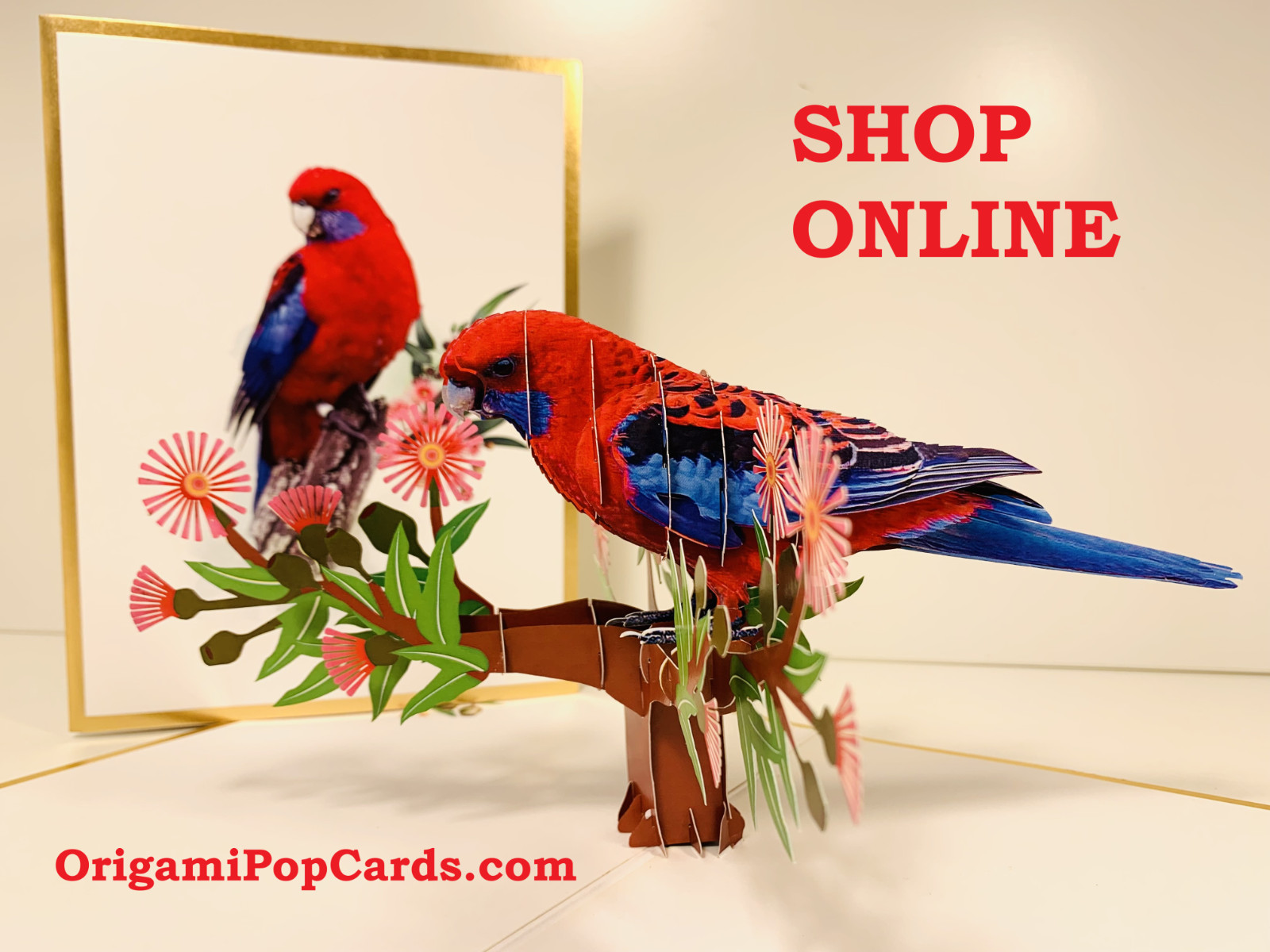 Origami Pop Cards LUXURY GOLD Crimson Rosella Parrot Happy Birthday Pop Card