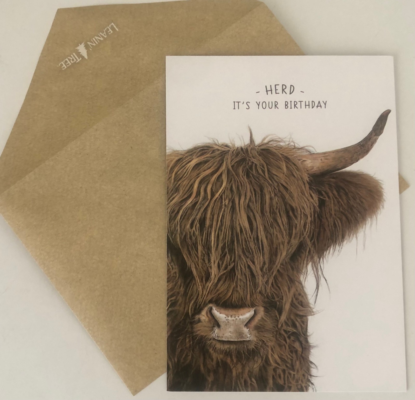 20 Leanin Tree Greeting Box Cards Set LIFE IN PENCIL, Cow,Birds,Bear,Giraffe,Dog