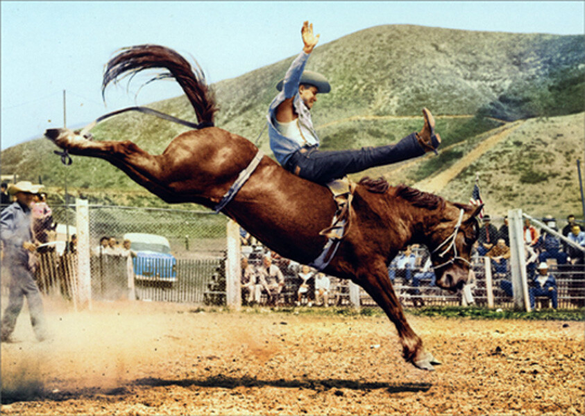 Avanti Press Cowboy Bronco Buster Riding Horse America Collection Birthday Card