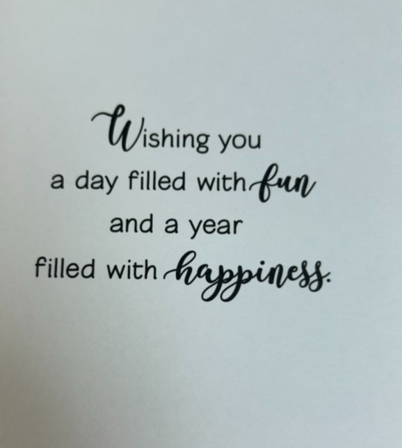 Happy Birthday Greeting Card w/ Envelope ~Let The Birthday Begin!