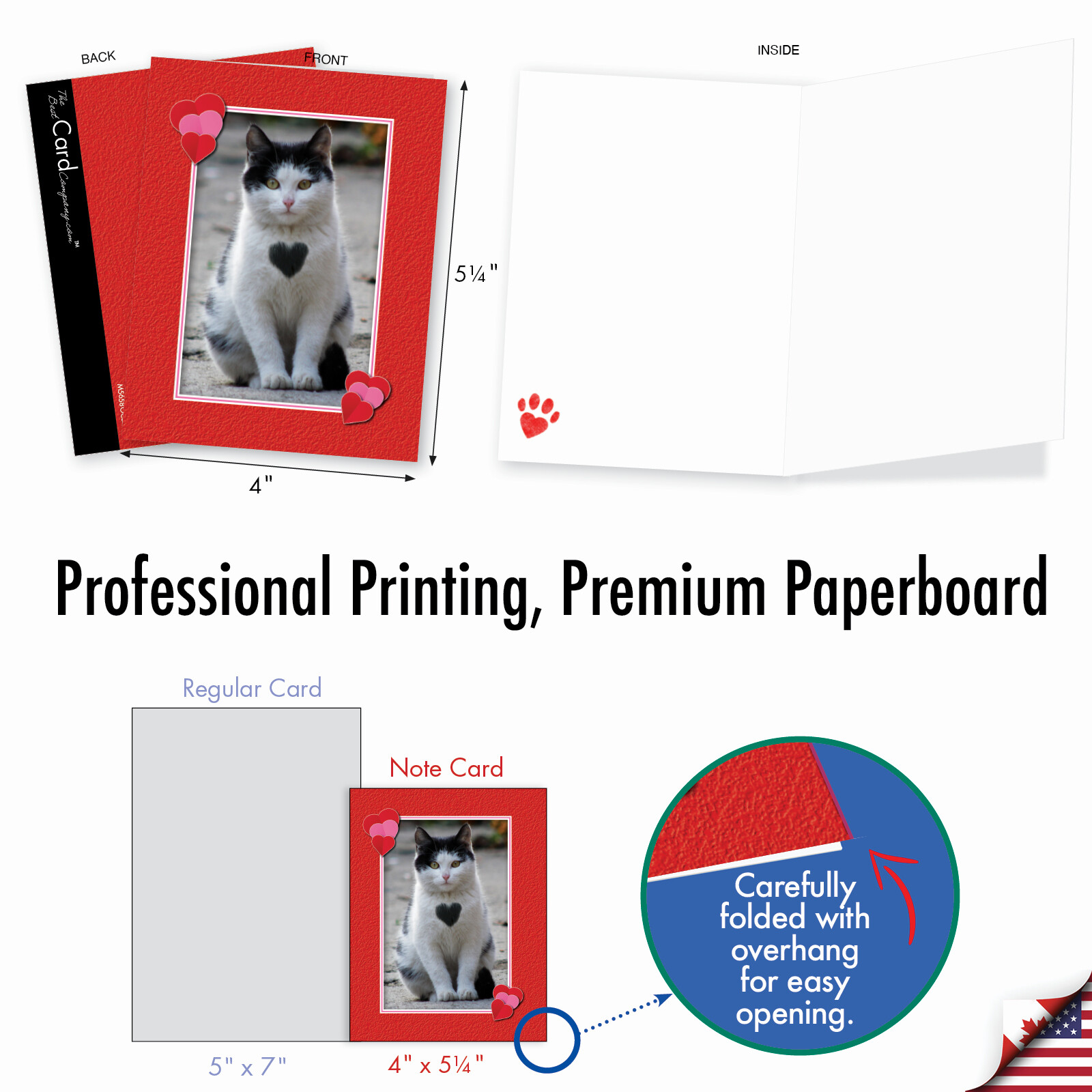 10 All Occasion Blank Note Cards – Heartfelt Cats M5658OCB-B1x10