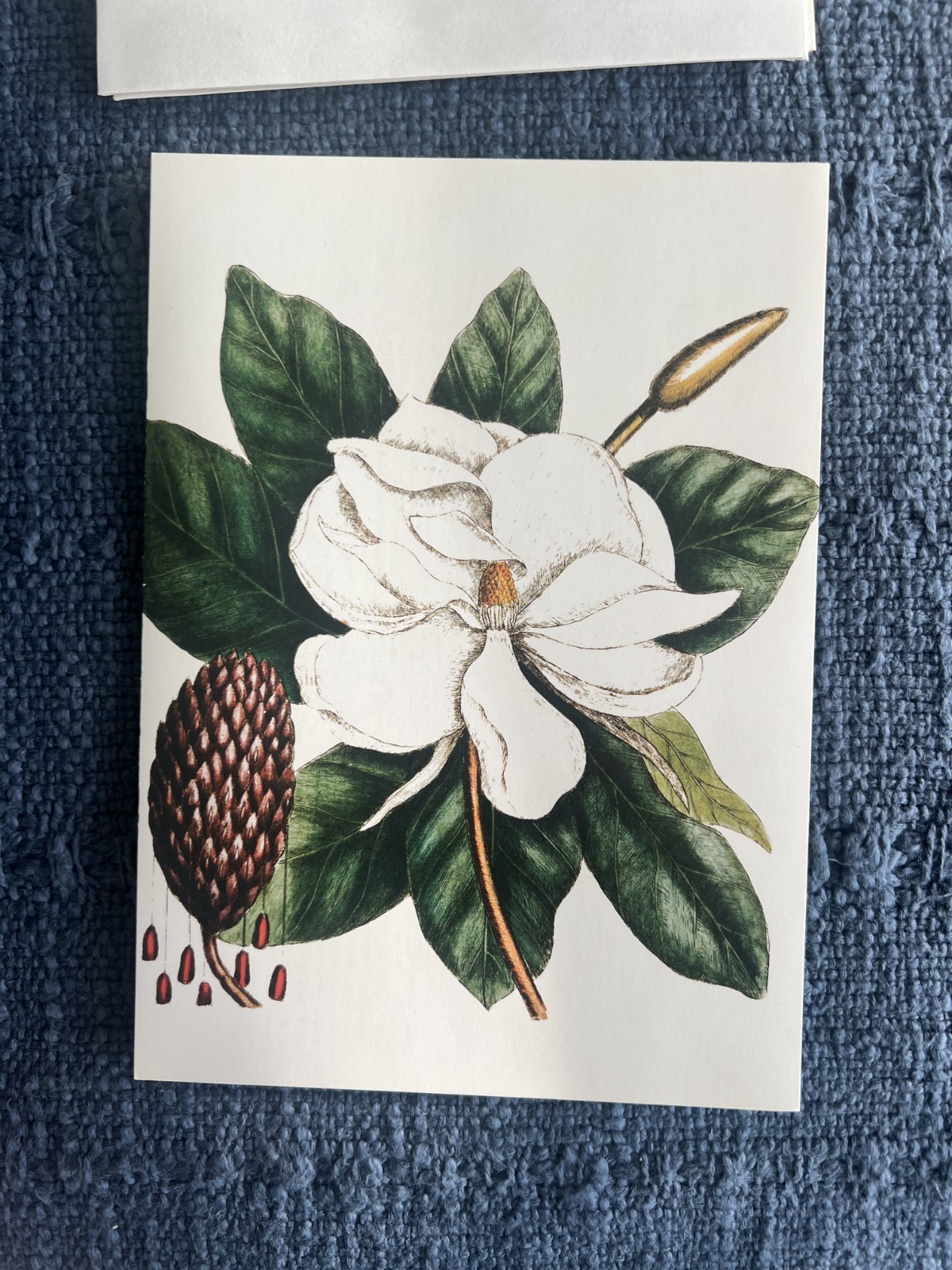 9 Unused COLONIAL WILLIAMSBURG Mark Catesby Flora Fauna BLANK NOTE CARDS READ