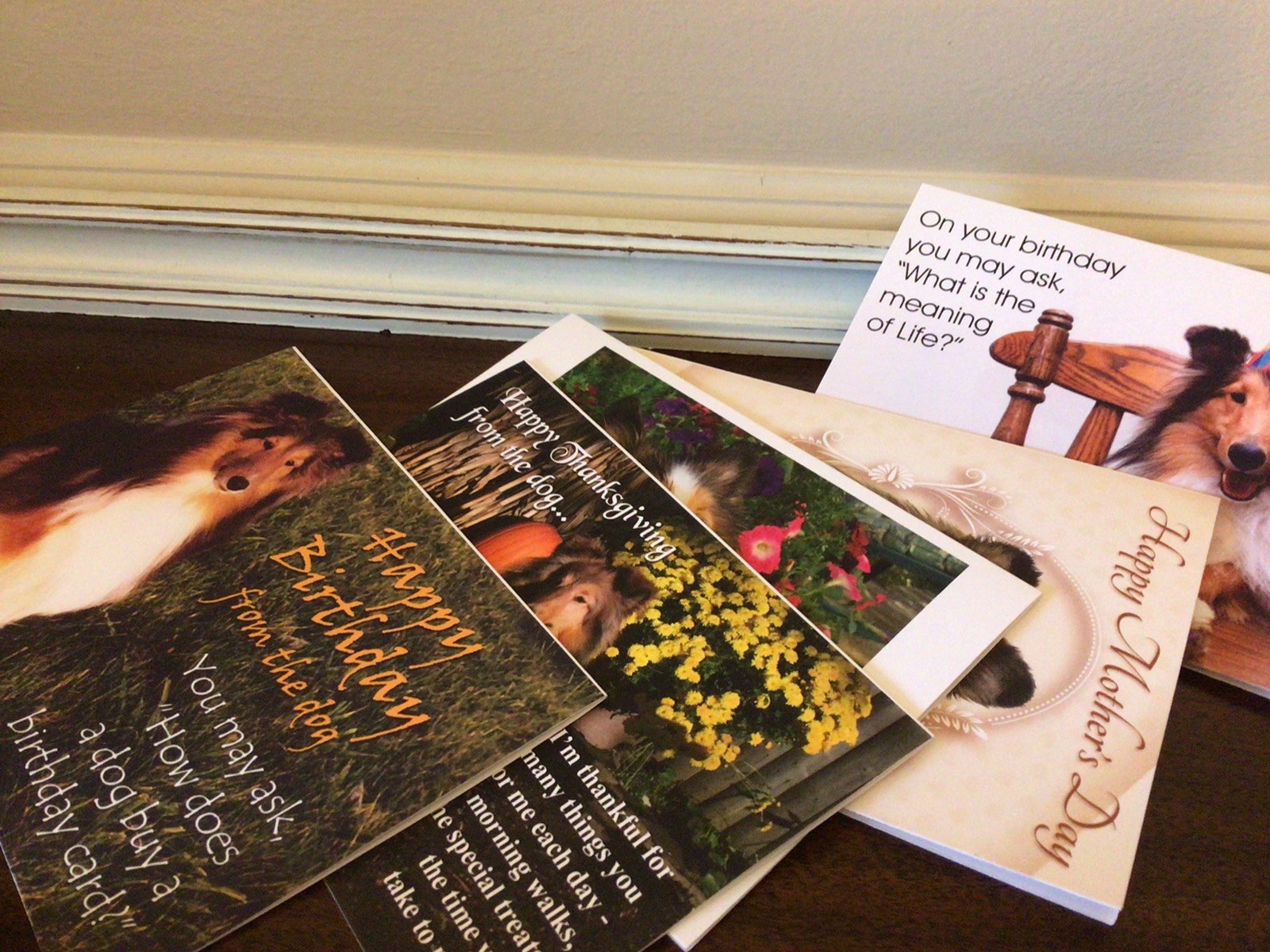 Set of 5 Mixed Greeting Cards From The Dog~Birthday~Thanksgiving~Mothers Day