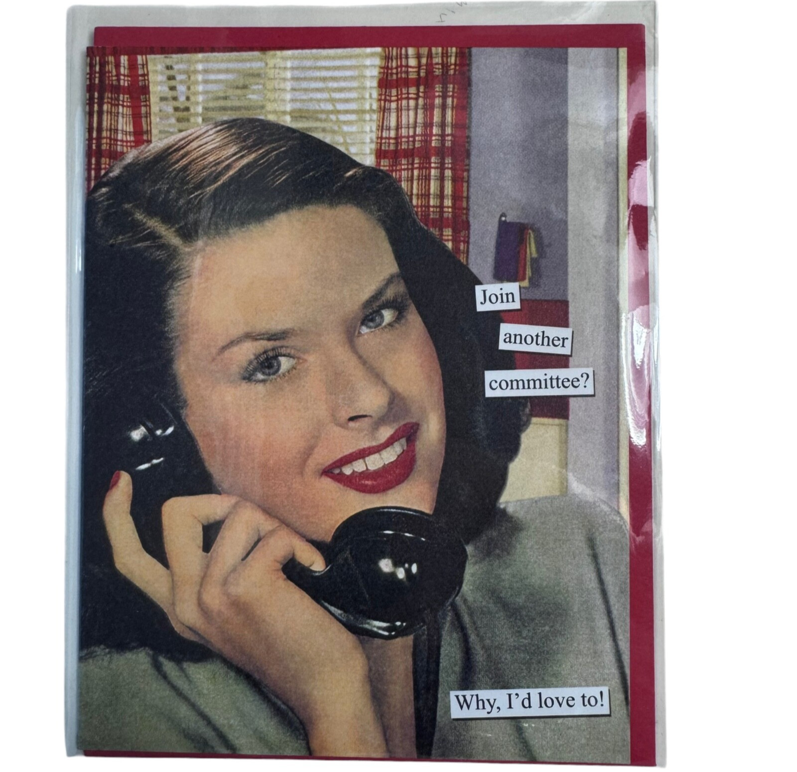 Anne Taintor All Occasion BLANK Greeting Card 36738 Retro 1950s Woman Committee