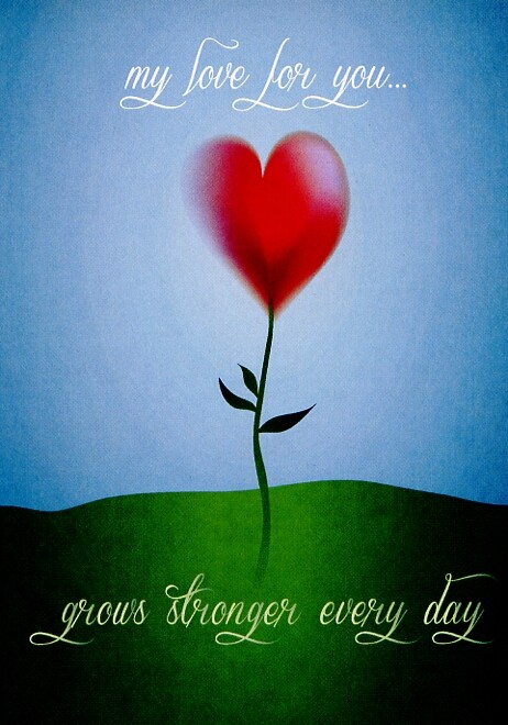My Love For You Grows Stronger Everyday – 14914