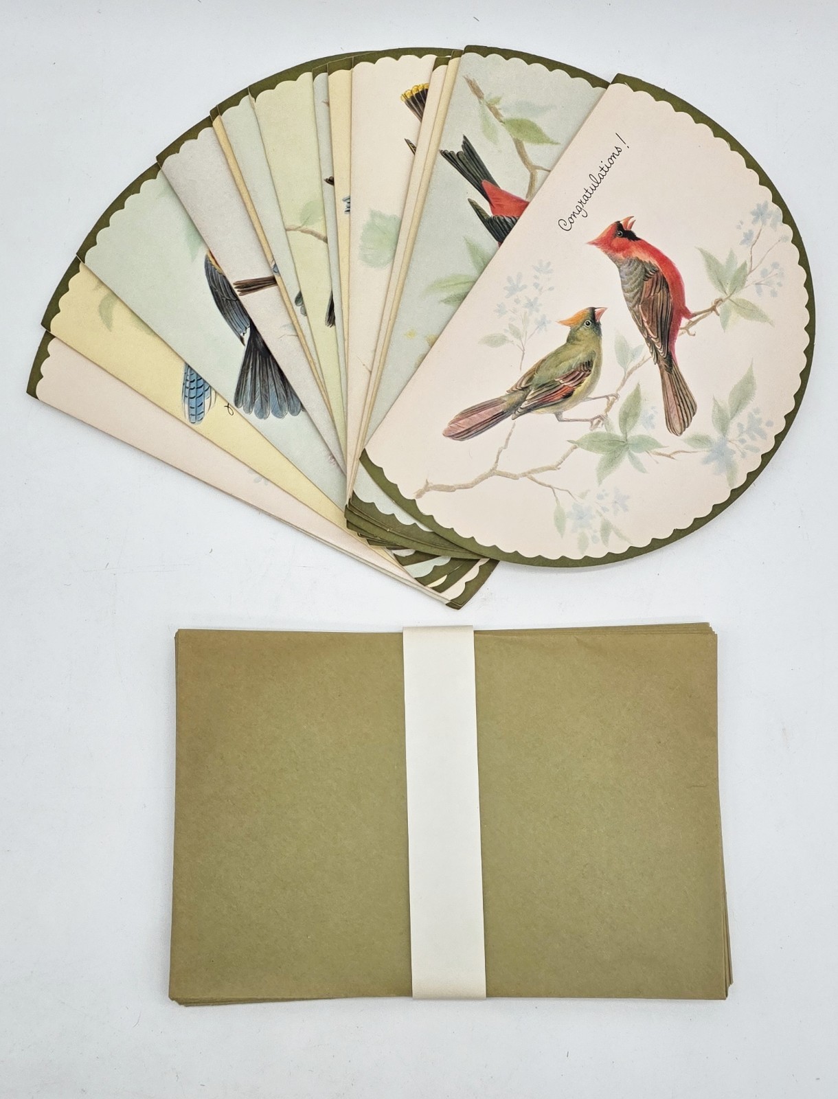 Vintage Die Cut Bird Greeting Cards Envelopes Lot 15 Mid Century Cardinal Oriole