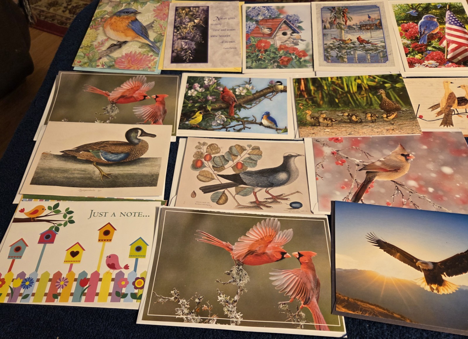Lot B 15 Assorted BIRDS Greeting Note Cards with Envelopes Blank Inside