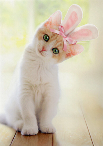 Kitten With Bunny Ears Cat Easter Card – Greeting Card by Avanti Press