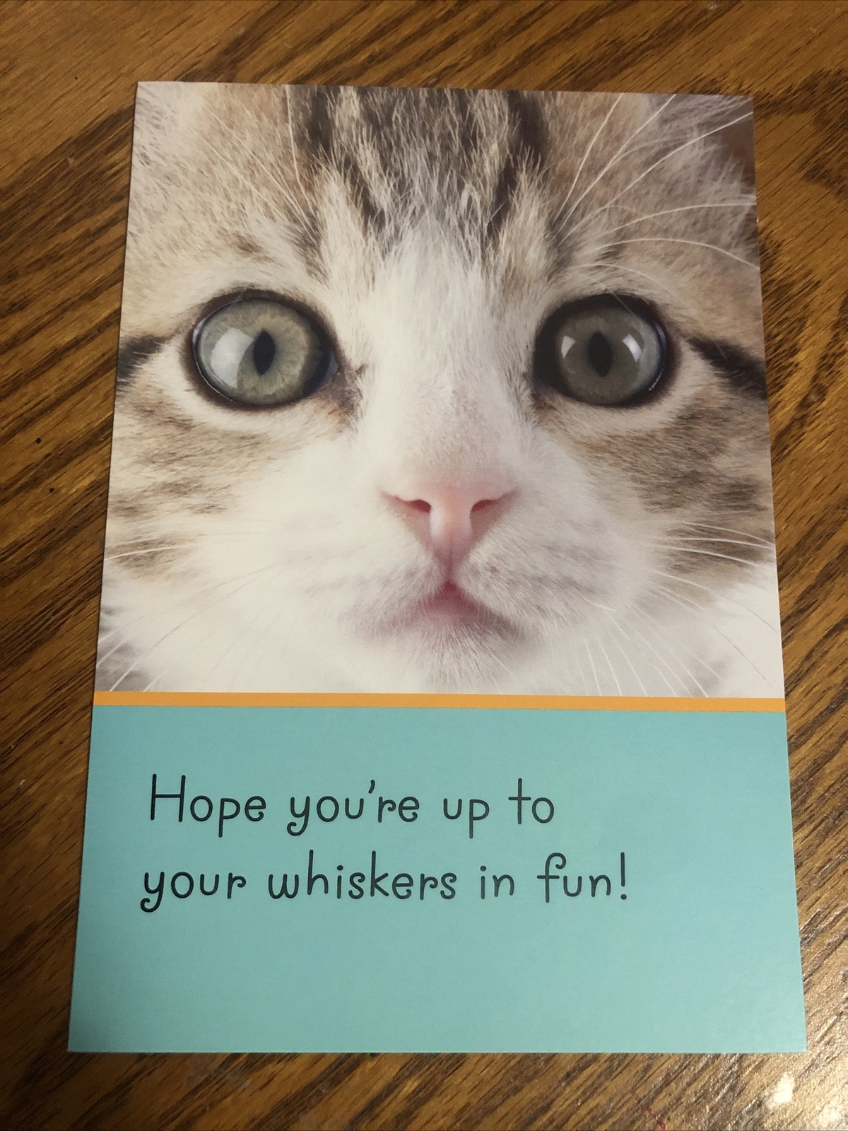 Happy Birthday Friend Niece Sister Daughter – Cat 5”x7” Hallmark Greeting Card