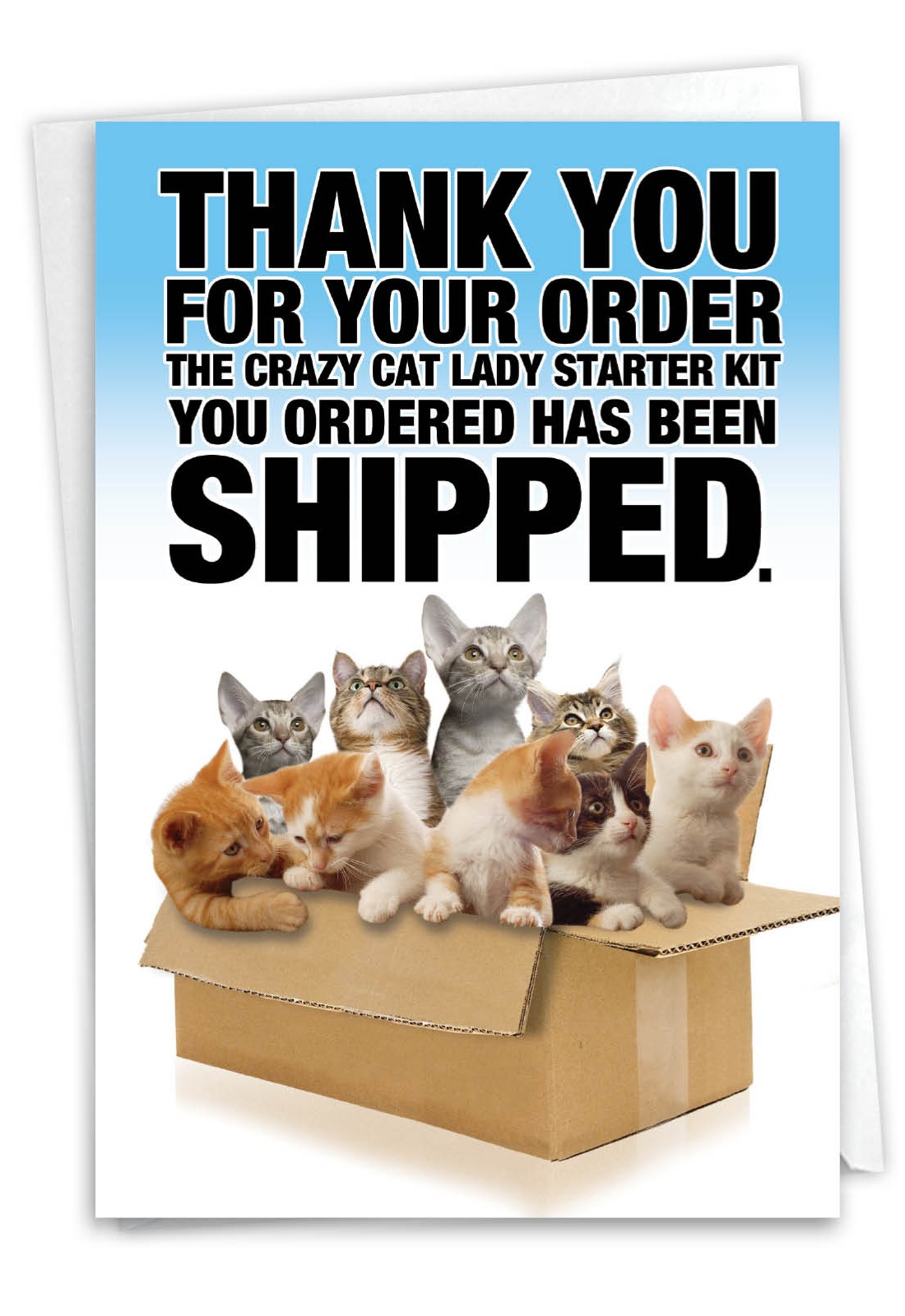 (1 Card) Cat Lady Starter Kit – Funny Birthday Greeting Card – NobleWorks