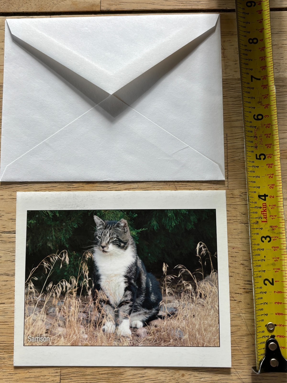 Animal Rescue – Charity Greeting Cards – Lot of 14 w/Envelopes & 6 Postcards