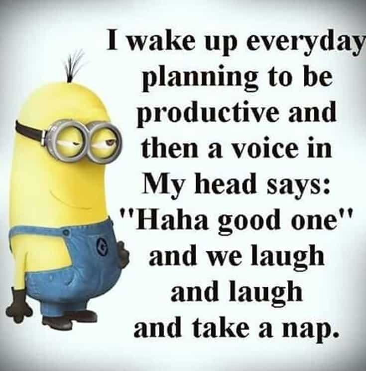 28 Funny Inspirational Quotes And Minions Funny Memes 6