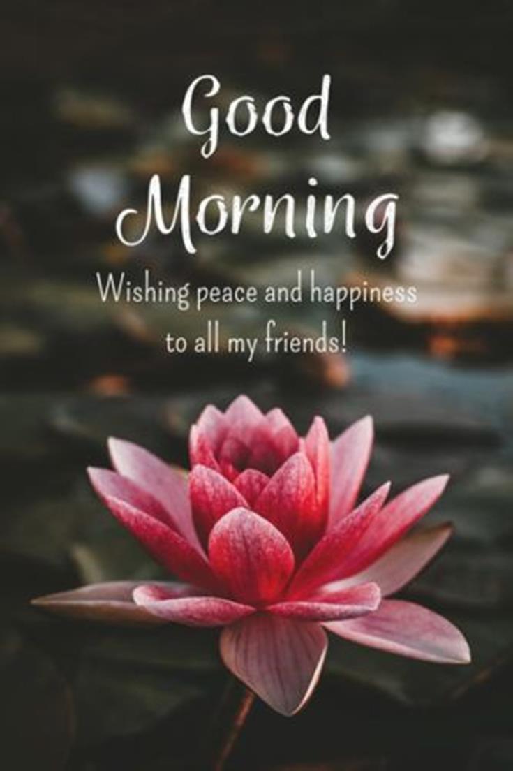 sweet good morning messages for a friend | harm ful thinking