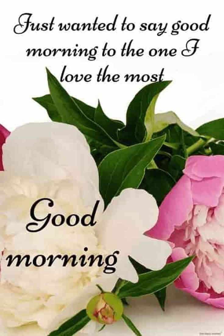 31 Good Morning Quotes for Her and Morning Love Messages 14
