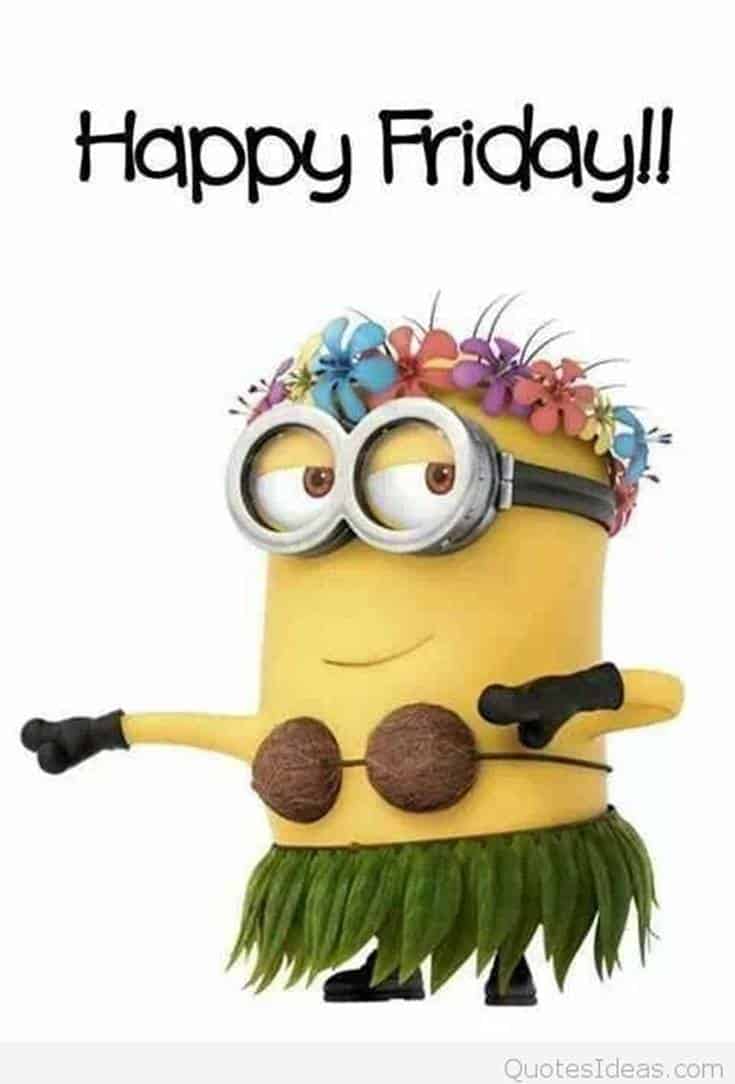 funny minion quotes about life