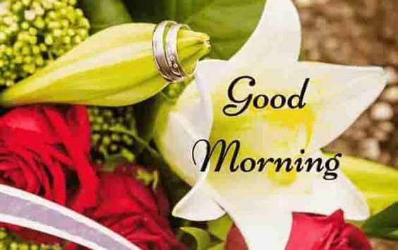 37 Good Morning Greetings Pictures And Wishes With Beautiful Images 28