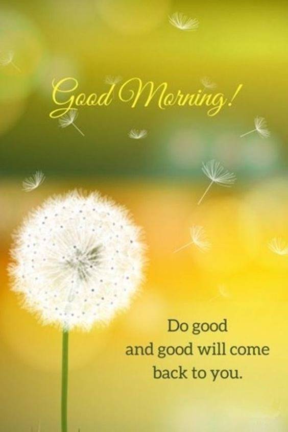 37 Good Morning Greetings Pictures And Wishes With Beautiful Images 5