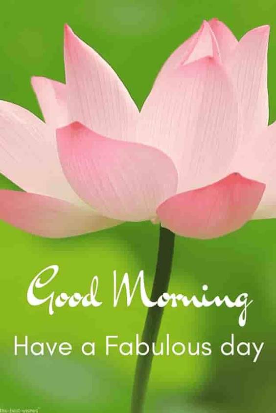 37 Good Morning Greetings Pictures And Wishes With Beautiful Images 6