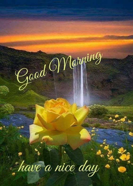 37 Good Morning Greetings Pictures And Wishes With Beautiful Images 8