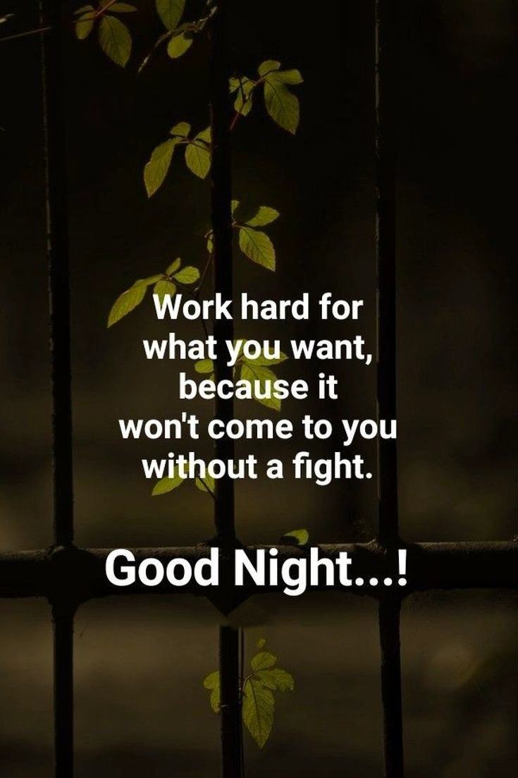 365 Good night Quotes with Beautiful Images 43