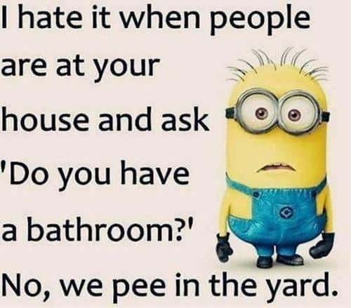 45 Funny Jokes Minions Quotes With Images Funny Text Messages confusing text messages minions quotes and sayings