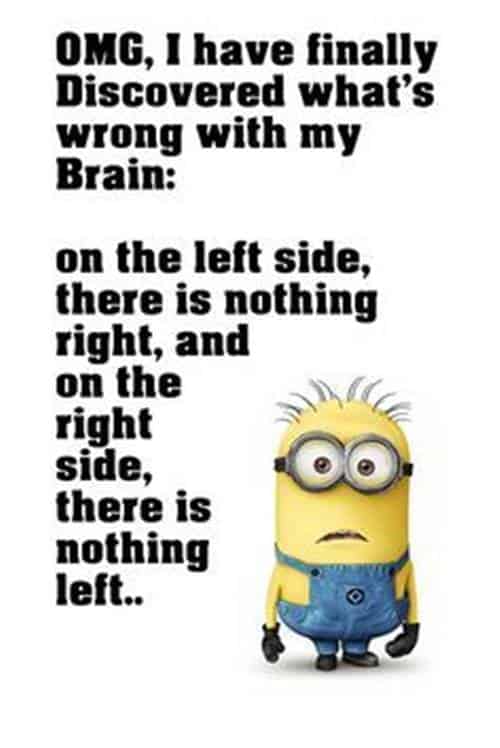 45 Funny Jokes Minions Quotes With Images Funny Text Messages funny minions quotes funny couple text messages