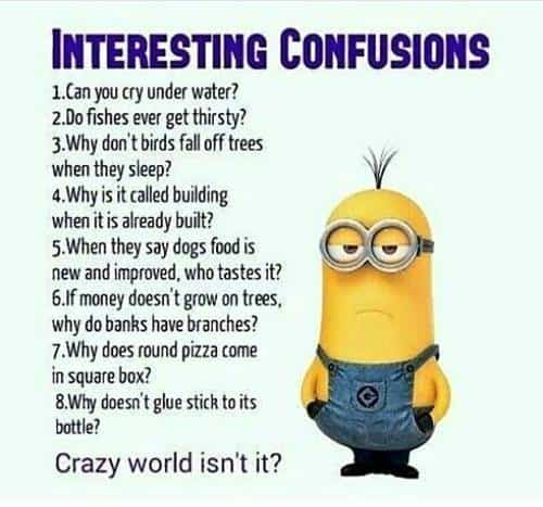 45 Funny Jokes Minions Quotes With Images Funny Text Messages 34